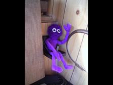 Knut auf seinem Sitz im Bully